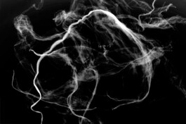  Gutleut Mainz – Visual Identity