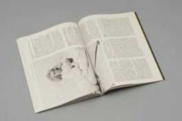 Rebellion Magazine Double-Spread